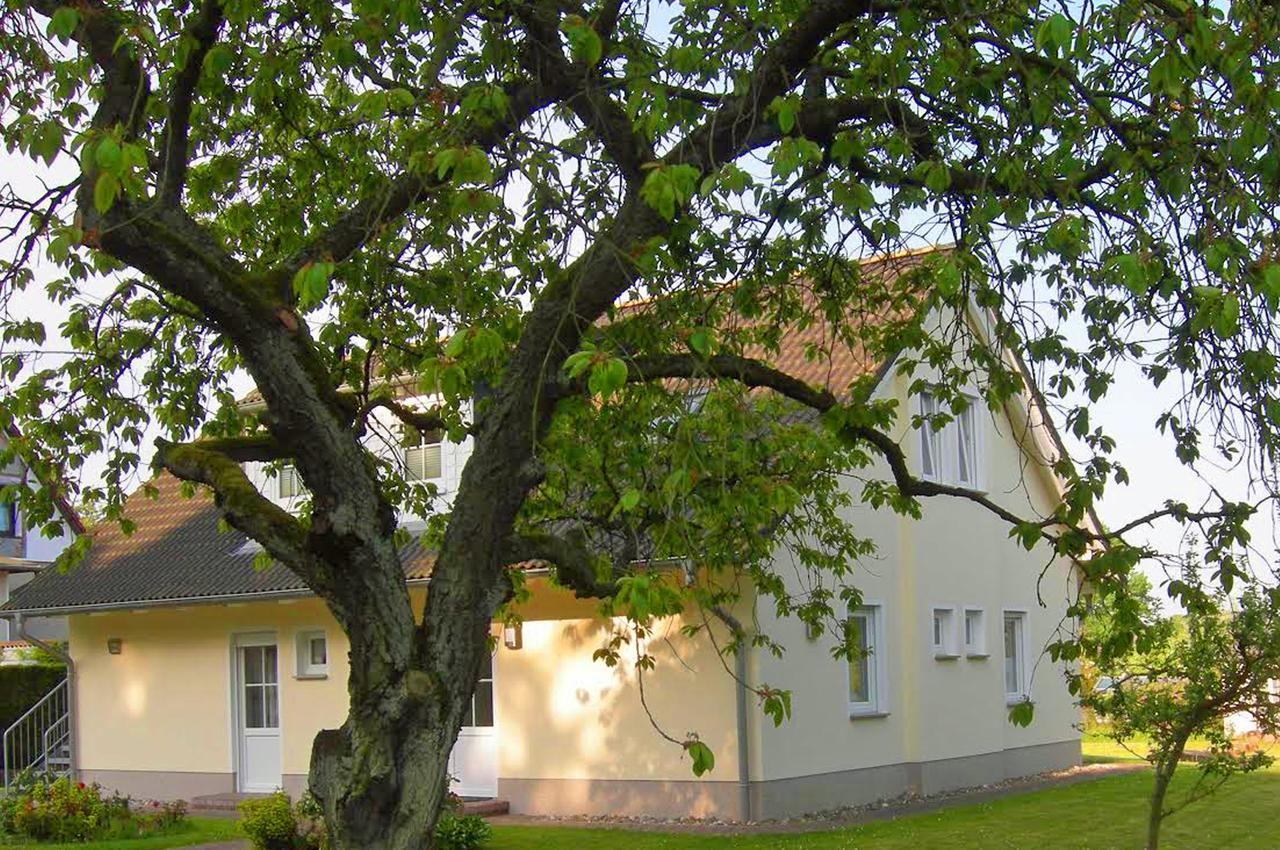 Sonnenhus - Ruegen Daire Sellin  Dış mekan fotoğraf